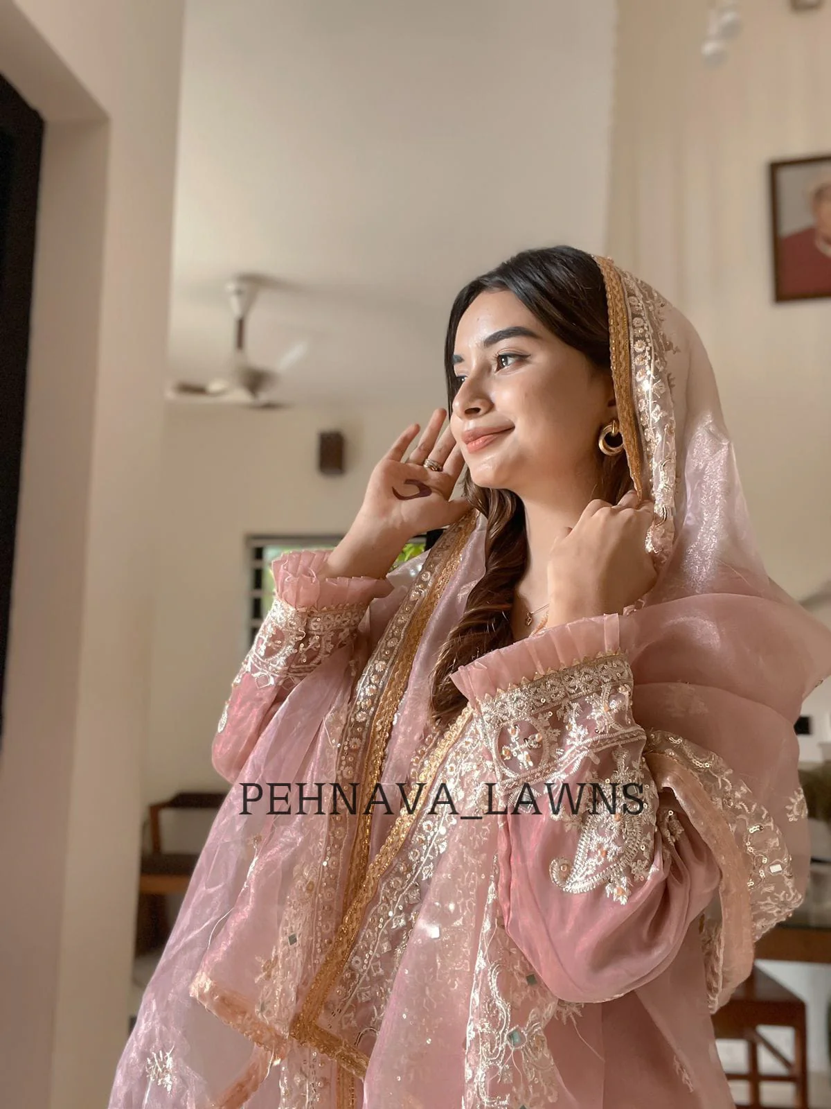 Organza mirror work suit - Image 7